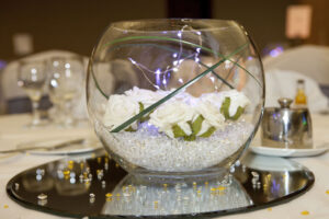 Fish-Bowl